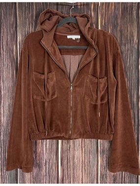 Young fabulous and broke velour cropped hoodie